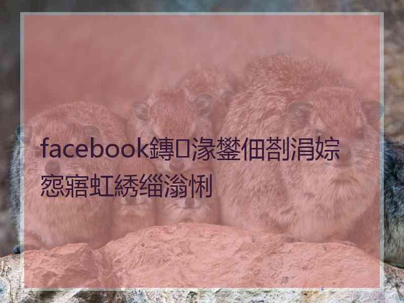 facebook鏄湪鐢佃剳涓婃惌寤虹綉缁滃悧