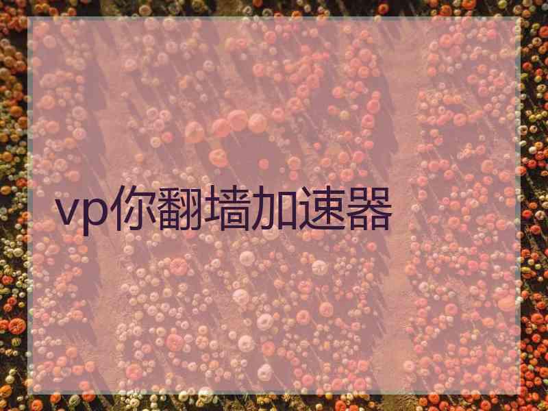 vp你翻墙加速器