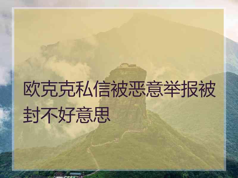 欧克克私信被恶意举报被封不好意思