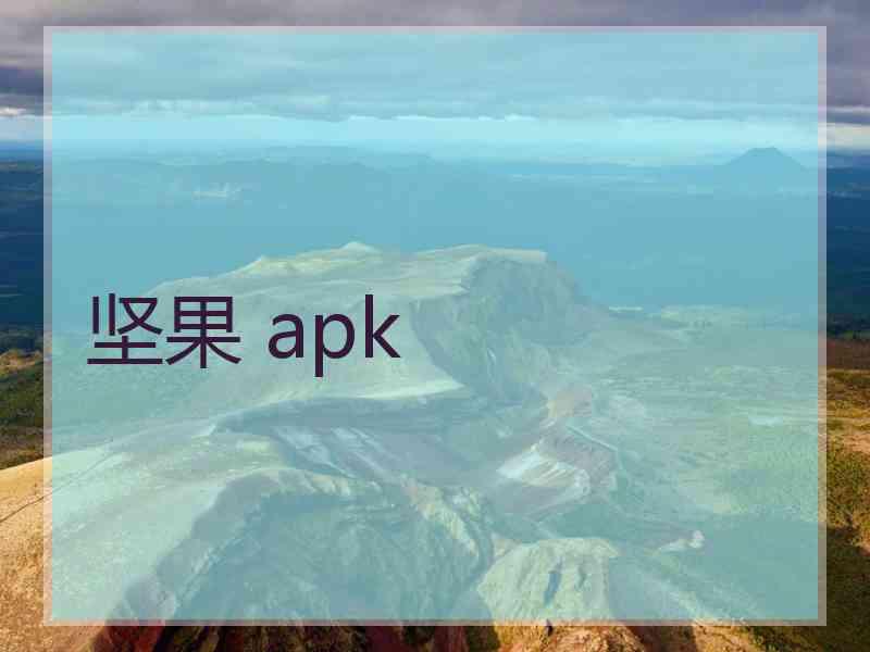 坚果 apk