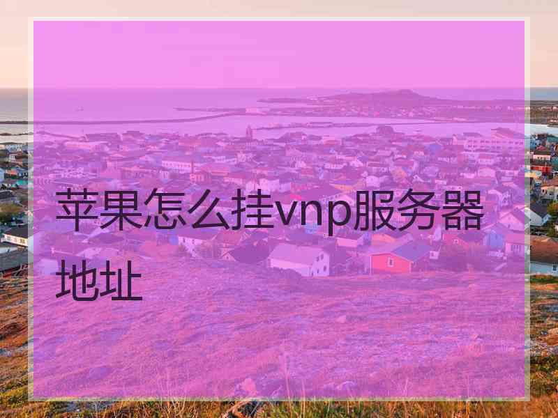 苹果怎么挂vnp服务器地址