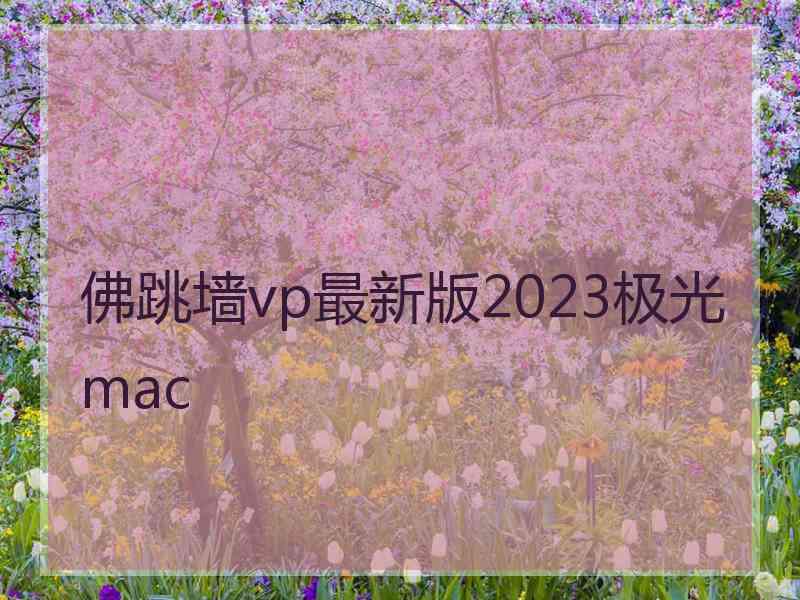 佛跳墙vp最新版2023极光 mac