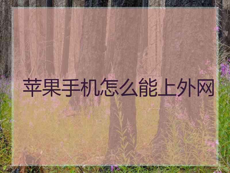 苹果手机怎么能上外网