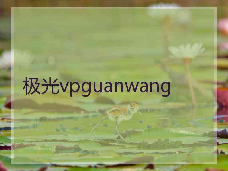 极光vpguanwang