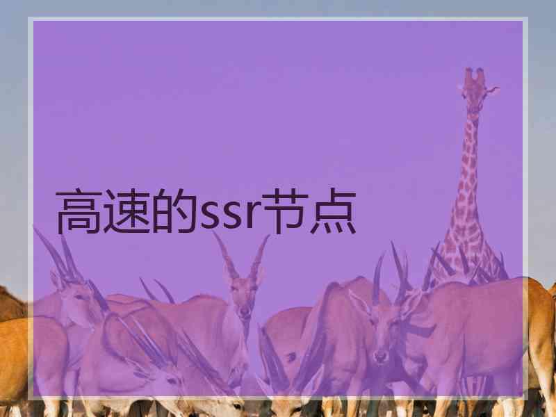 高速的ssr节点