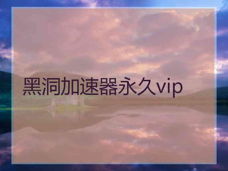 黑洞加速器永久vip