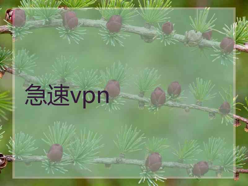 急速vpn