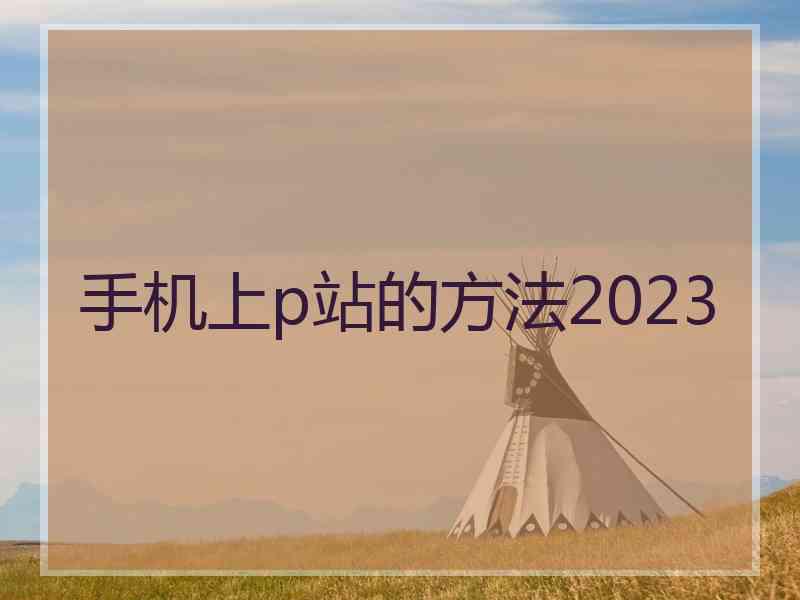 手机上p站的方法2023