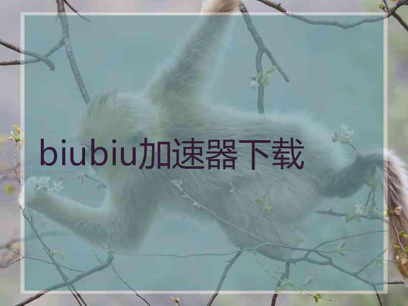 biubiu加速器下载