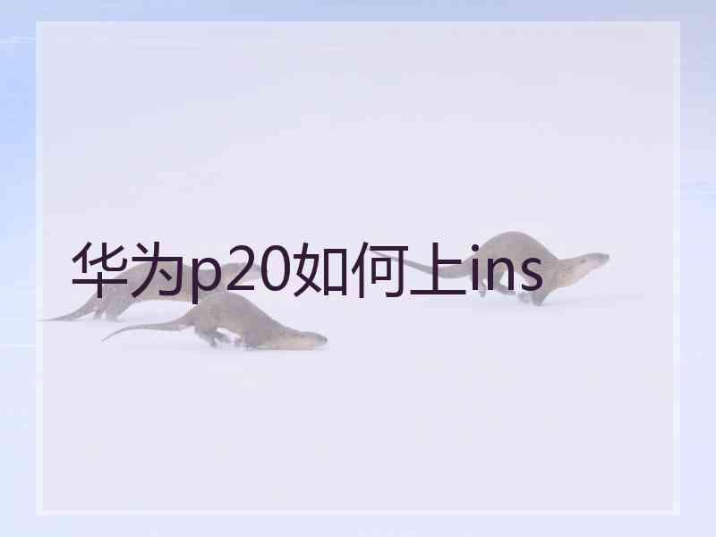 华为p20如何上ins