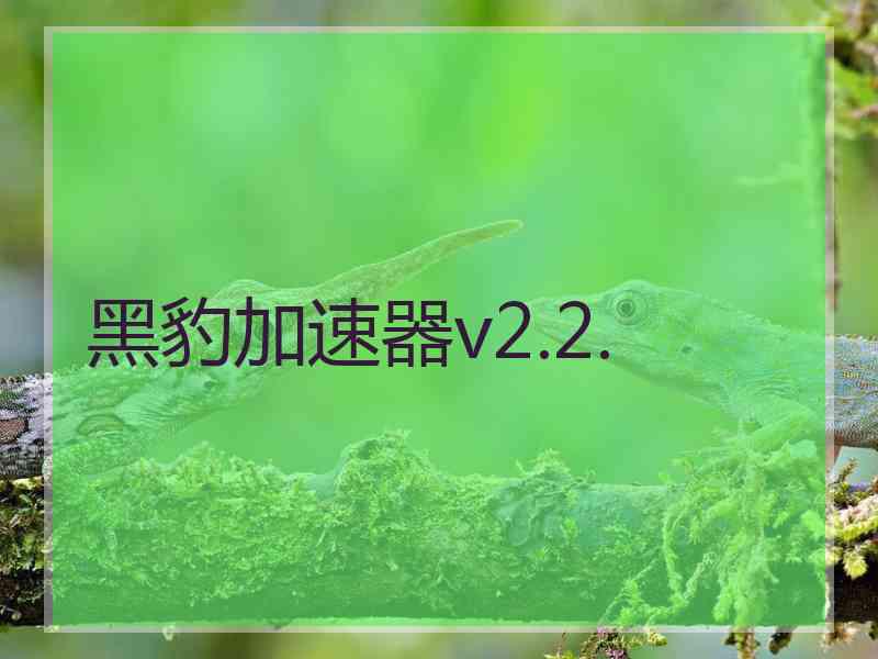 黑豹加速器v2.2.