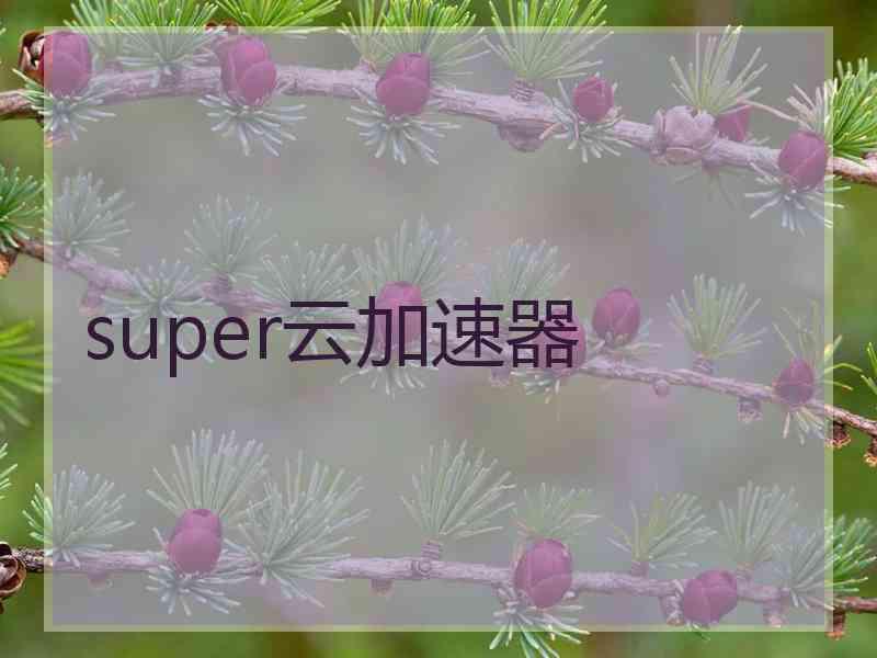 super云加速器