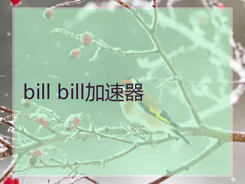 bill bill加速器