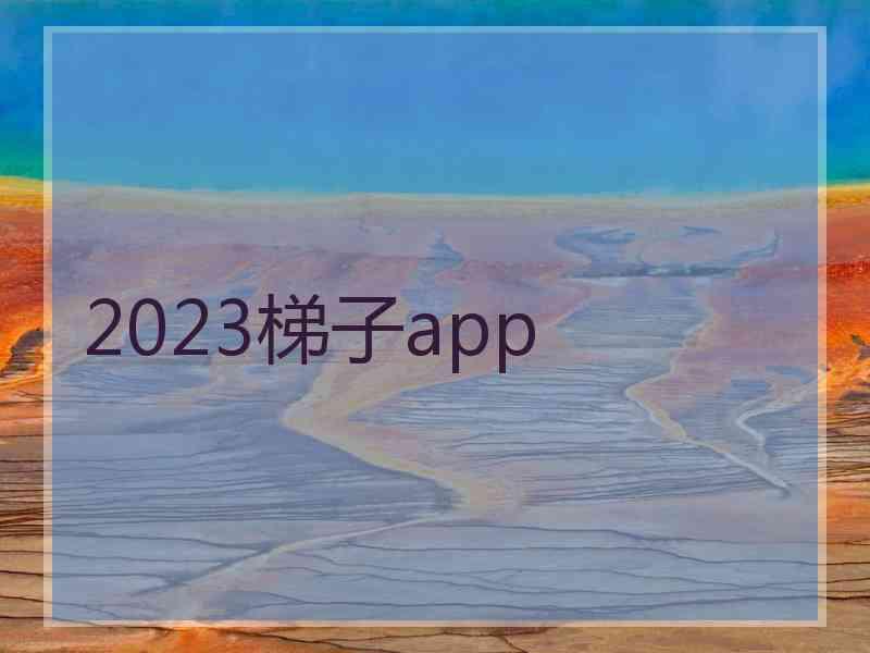 2023梯子app