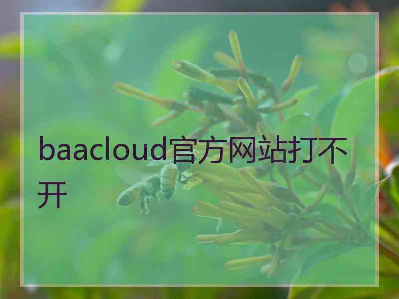 baacloud官方网站打不开