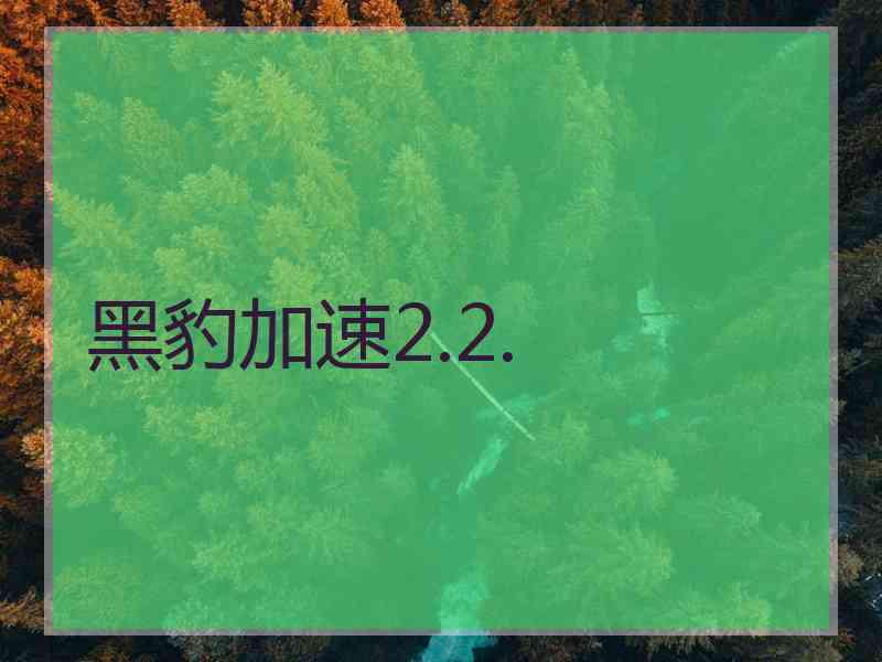 黑豹加速2.2.