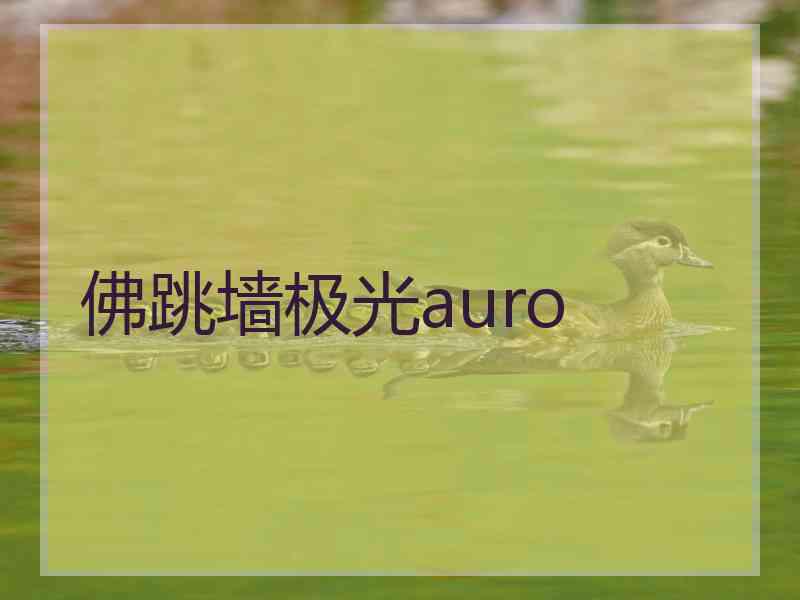 佛跳墙极光auro