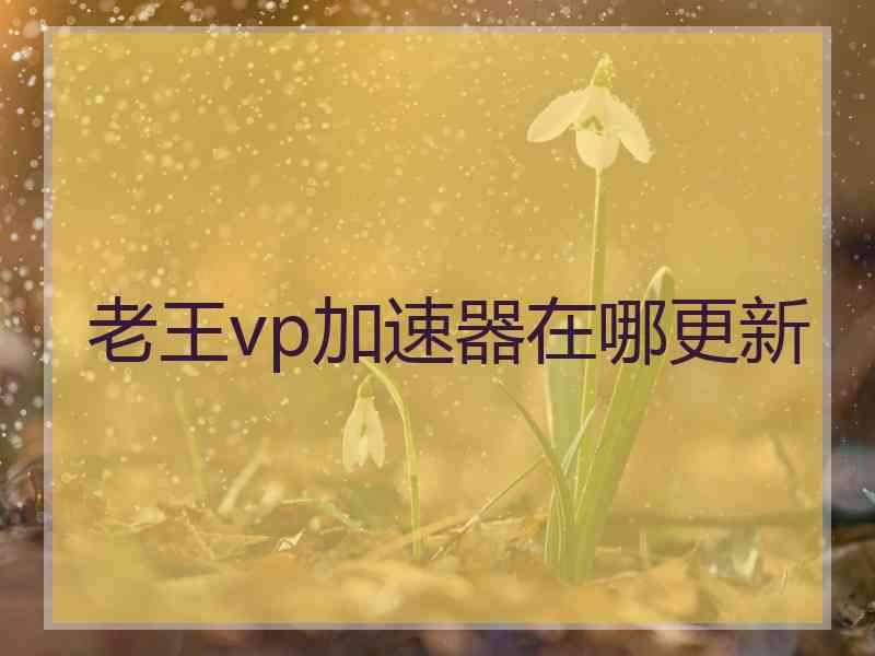 老王vp加速器在哪更新