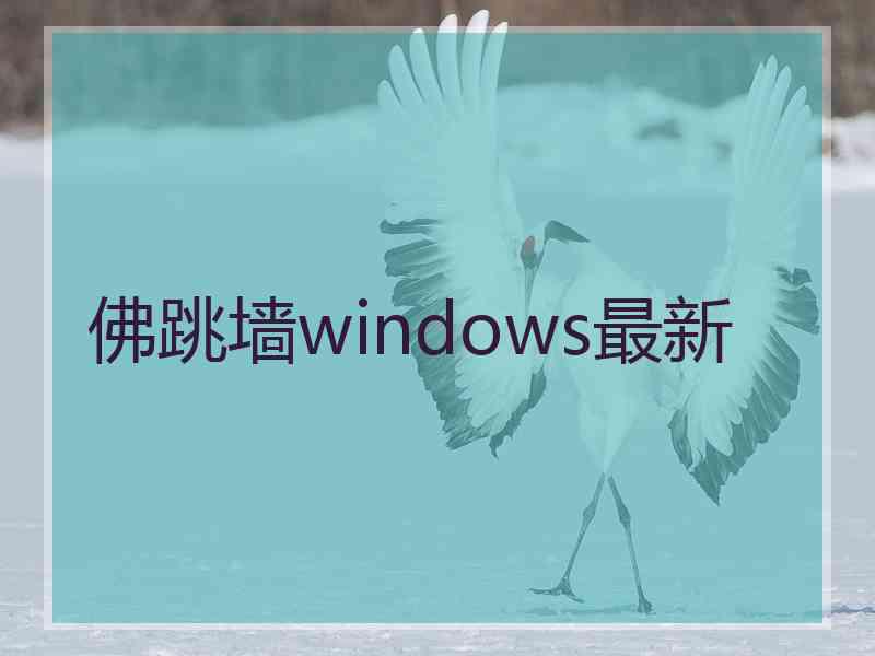 佛跳墙windows最新