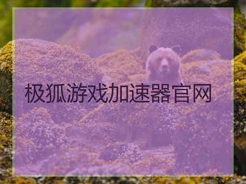 极狐游戏加速器官网