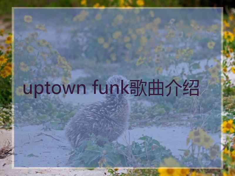 uptown funk歌曲介绍