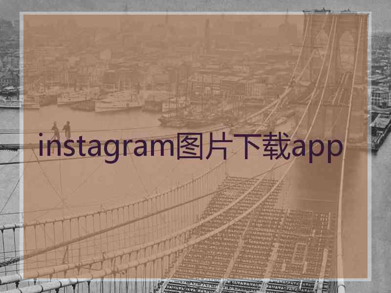 instagram图片下载app