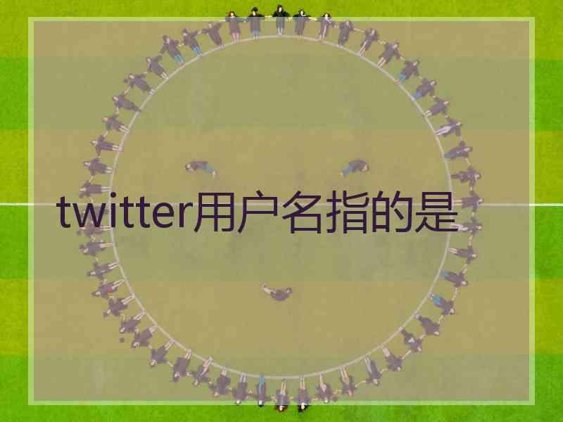 twitter用户名指的是