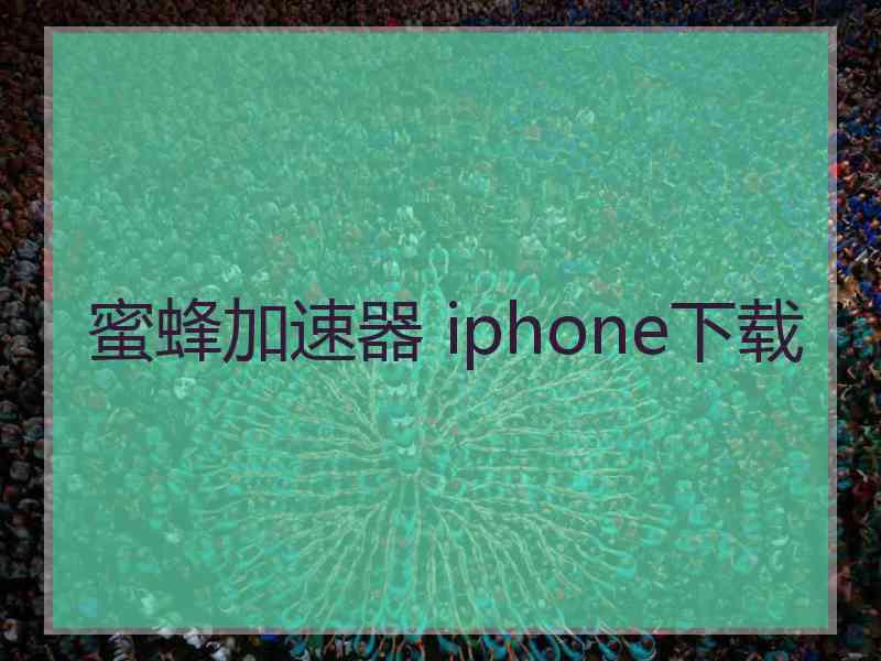 蜜蜂加速器 iphone下载