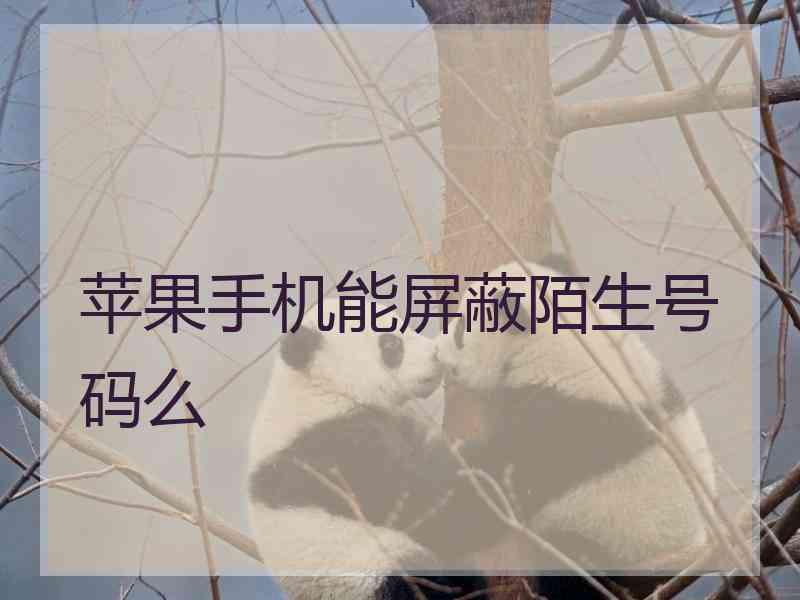 苹果手机能屏蔽陌生号码么