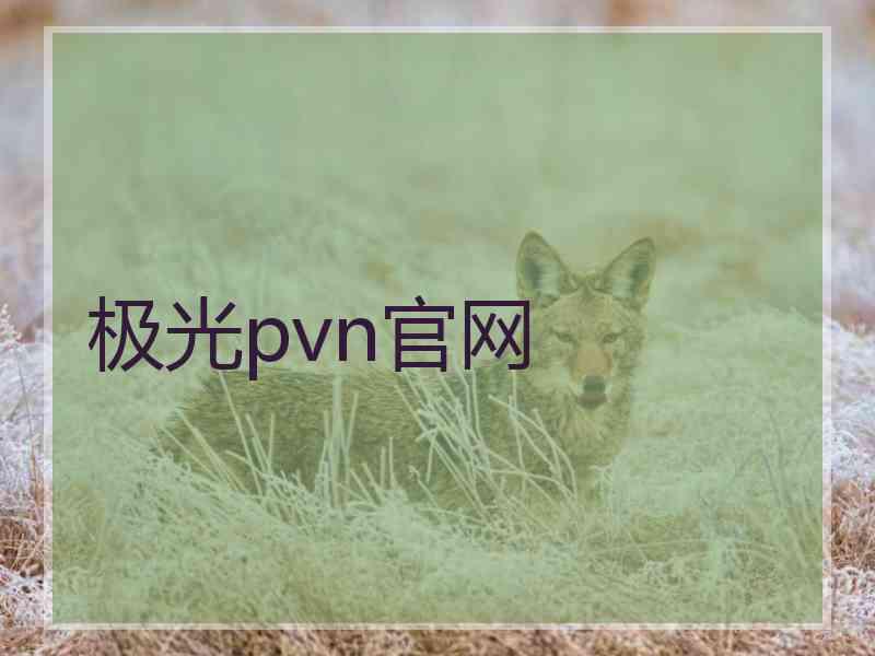 极光pvn官网