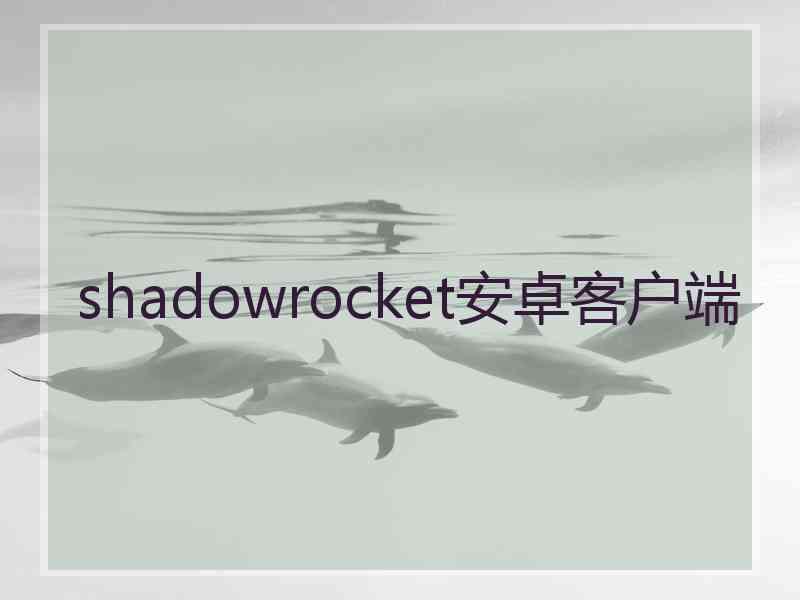 shadowrocket安卓客户端