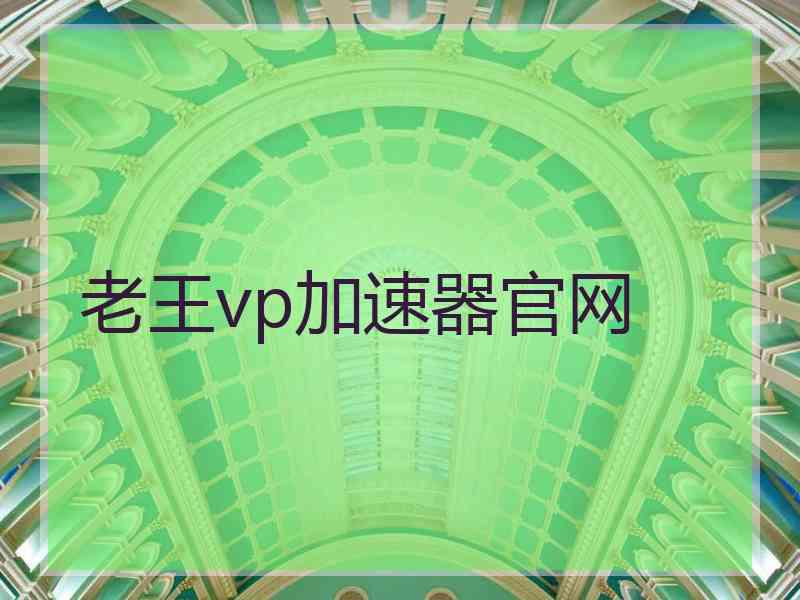 老王vp加速器官网