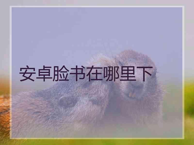 安卓脸书在哪里下