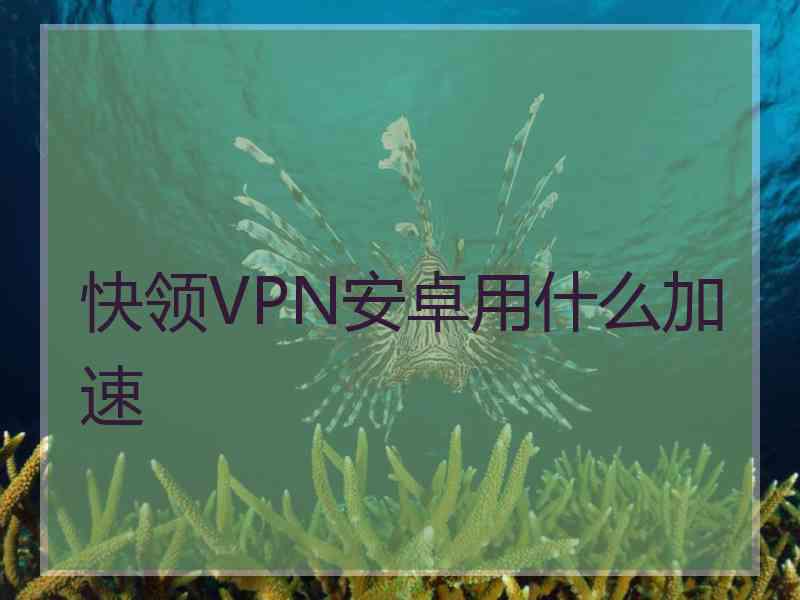 快领VPN安卓用什么加速