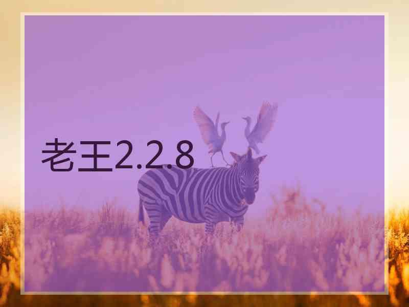 老王2.2.8