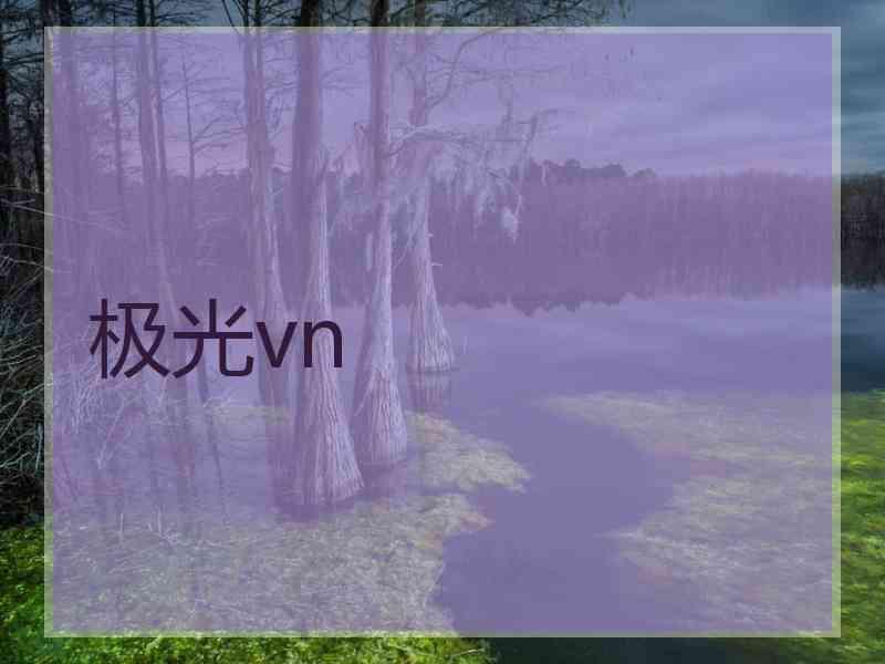 极光vn