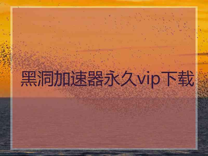 黑洞加速器永久vip下载