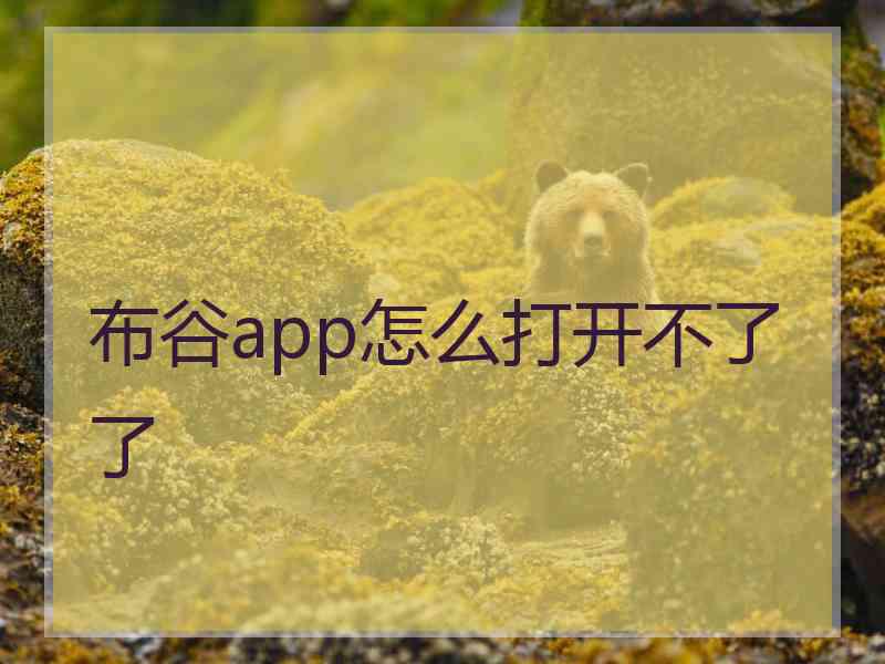 布谷app怎么打开不了了