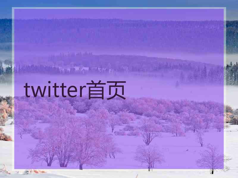 twitter首页