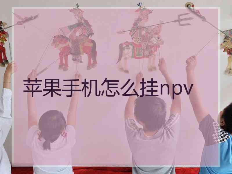 苹果手机怎么挂npv