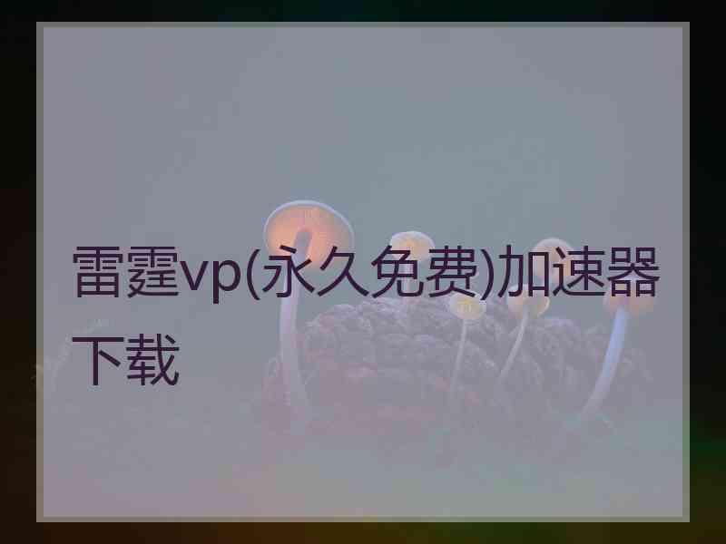 雷霆vp(永久免费)加速器下载