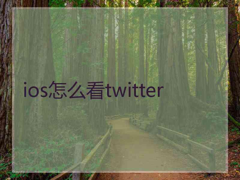 ios怎么看twitter