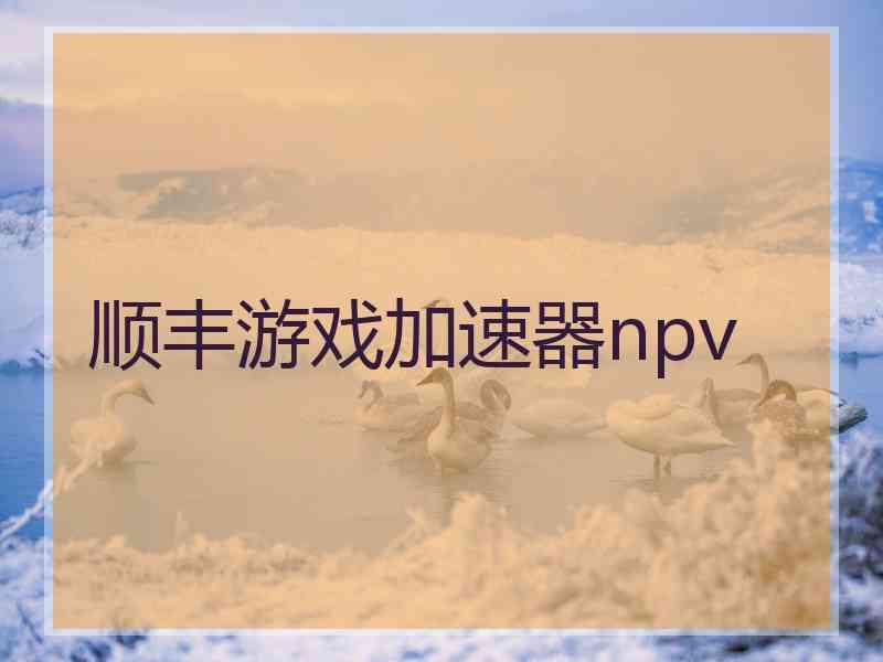 顺丰游戏加速器npv