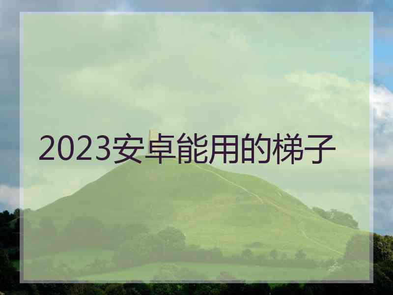 2023安卓能用的梯子