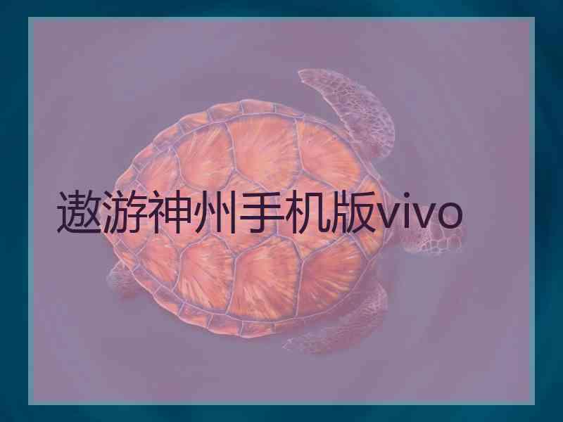 遨游神州手机版vivo