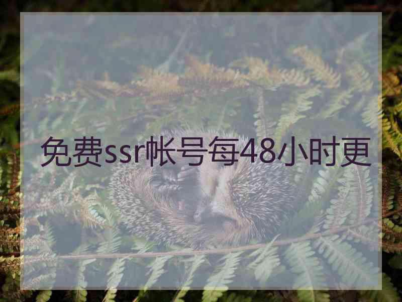 免费ssr帐号每48小时更