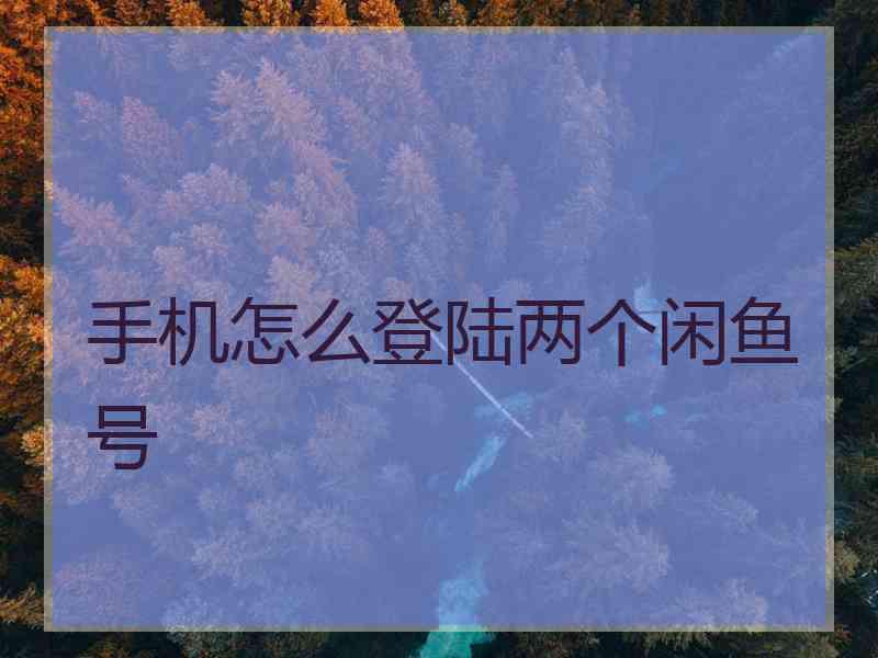 手机怎么登陆两个闲鱼号