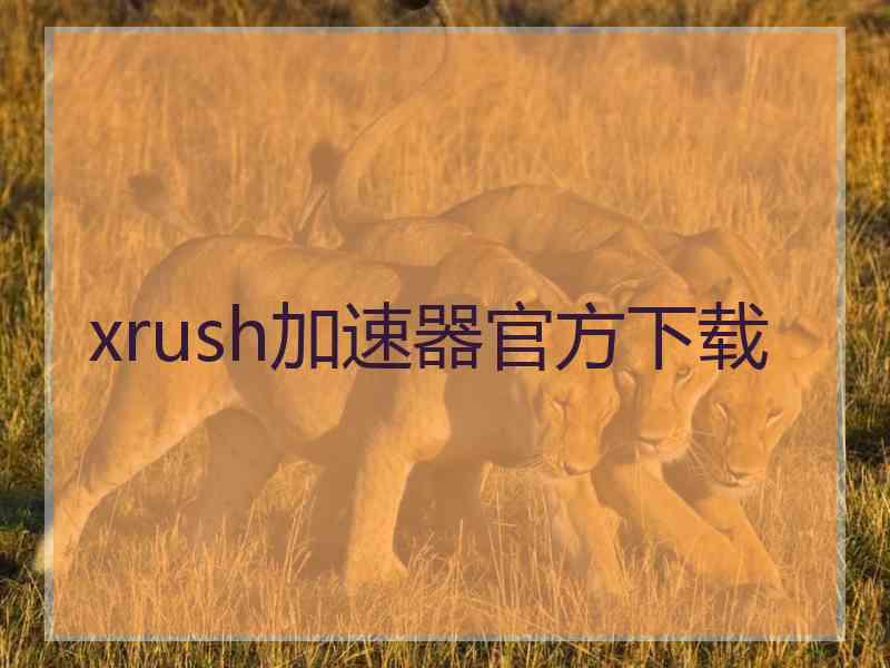 xrush加速器官方下载