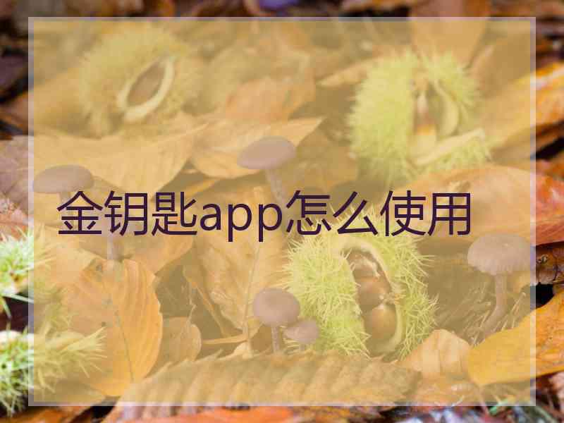 金钥匙app怎么使用