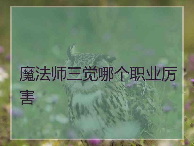 魔法师三觉哪个职业厉害